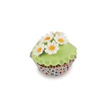 SLK 803 DAISY