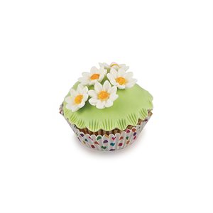 SLK 803 DAISY