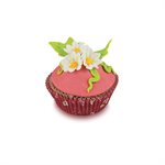 SLK 803 DAISY
