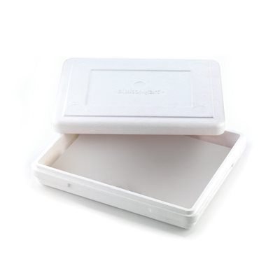 TAKE AWAY BOX - 100 EXPANDE POLYSTYRENE