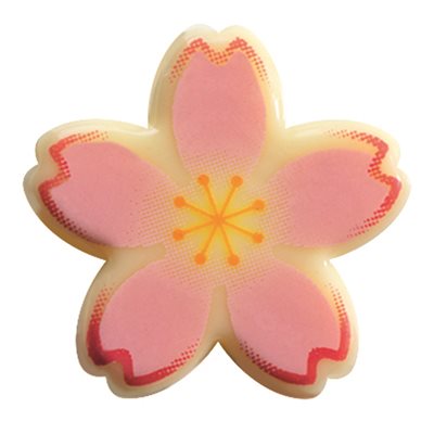 Cherry blossom white choc Sakura 2 designs