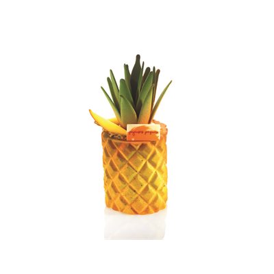 Structure sheets Ananas 56.5x36.5 cm