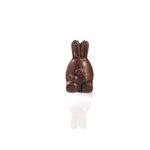 Moulds Lapin dodu for 6 pieces 12x7 cm P 8.1 cm