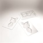 Moulds Teddy lapin for 4 pieces