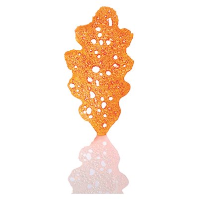 Opalines Feuilles de chêne orange 7.8x3.9 cm