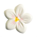 PETITE FLOWERS TRIO WHITE CHOC 0.98INCH 108 PC