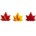 MINI MAPLE LEAVES, WHITE COMP, 1.6 IN X 1.5 IN, 120 PCS