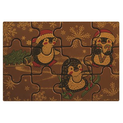 BLISTERS PUZZLES ÇA GLISSE 19X13 CM