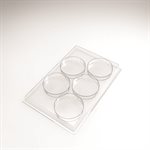 ENTREMETS MOULDS PALET FOR 150 PIECES 8 CM P 1.7CM