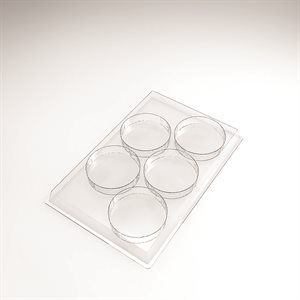 ENTREMETS MOULDS PALET FOR 150 PIECES 8 CM P 1.7CM