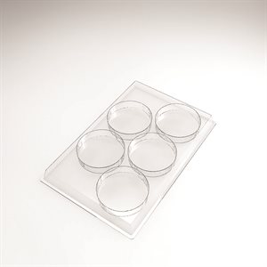 Individual moulds entremet Palet for 150 pieces Ø 8 cm