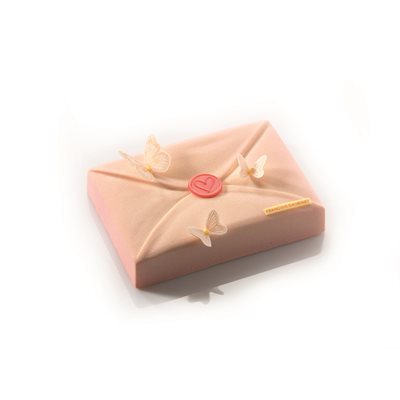 Moulds entremet Lettre for 30 pieces 20.5x14 cm D 3.5 cm