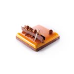 Moulds entremet rounded flat square f. 100 pieces 18x18 cm D4 cm