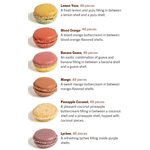 MACARON TROPICAL COLLECTION, 4X72PCS, 288PCS