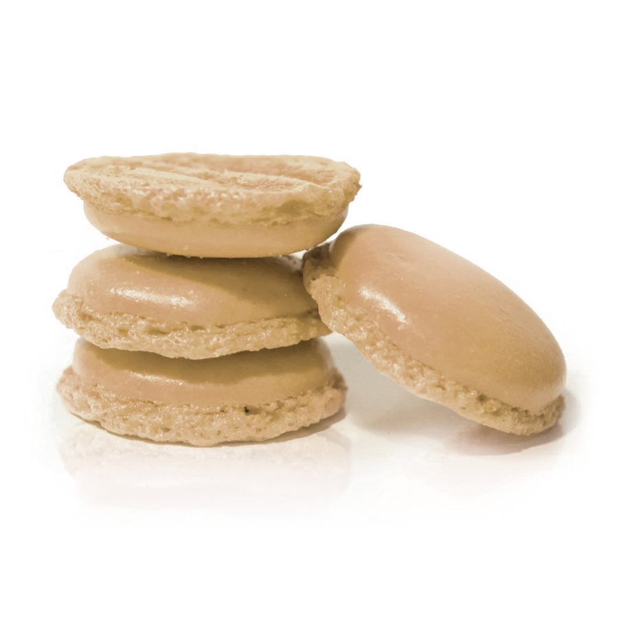 Shell Shape Macaron Product Search