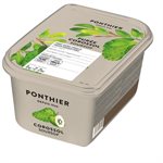 FROZEN PUREE, SOURSOP, 1 KG