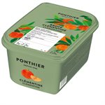 FROZEN PUREE, CLEMENTINE CRUSHED 12% SUGAR, 1 KG
