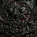 WILD BLUEBERRY, FROZEN COMPOTE, 2.2 LBS / 1KG  WILD BLUEBERRY, FROZEN COMPOTE, 2.2 LBS  /  1KG