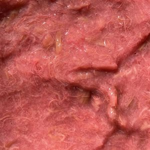 RHUBARB, FROZEN COMPOTE, 2.2 LBS / 1 KG 