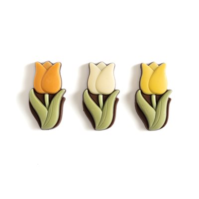 TULIP GARDEN, MILK CHOC, 120 PCS, 15 G