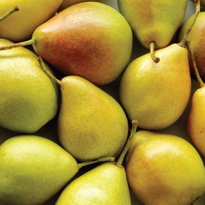 COMPOUND PEAR, 1 KG