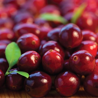 COMPOUND CRANBERRY, 1 KG