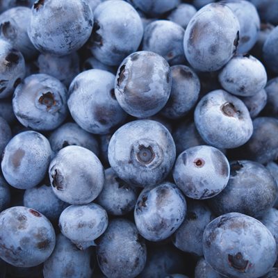 COMPOUND BLUEBERRY, 1KG