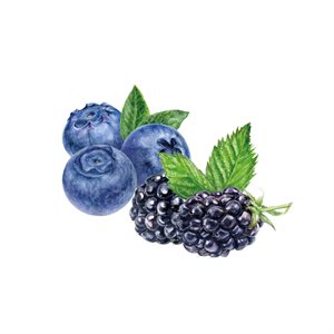 COMPOUND SUMMER BERRIES, 1KG