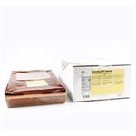 GIANDUJA INTENSO MILK ALMONDS BAR, (3x2Kg)