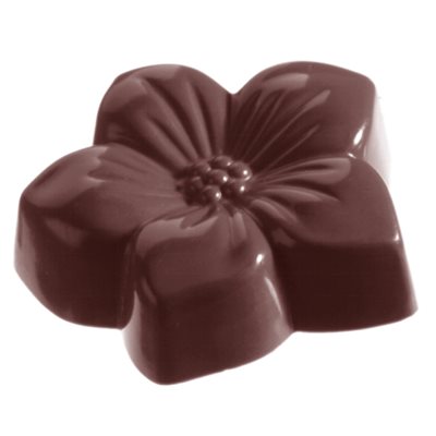 POLYCARBONATE MOLD VIOLET 27.5X13.5X2.4CM