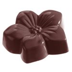 POLYCARBONATE MOLD VIOLET 27.5X13.5X2.4CM