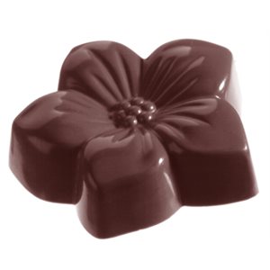 POLYCARBONATE MOLD VIOLET 27.5X13.5X2.4CM