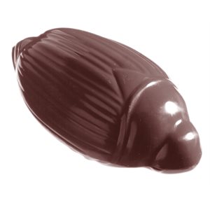 POLYCARBONATE MOLD COCKCHAFER 70MM 27.5X13.5X2.4CM