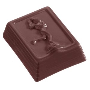 POLYCARBONATE MOLD BRABO 27.5X13.5X2.4CM