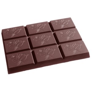 POLYCARBONATE MOLD TABLET 350 GR 27.5X13.5X2.4CM