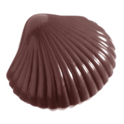 POLYCARBONATE MOLD SMALL SHELL 27.5X13.5X2.4CM