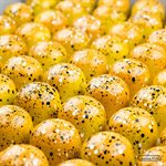 POLYCARBONATE MOLD CONE 29X25MM 27.5X13.5X2.8CM