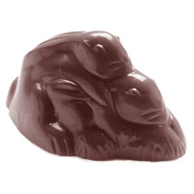 POLYCARBONATE MOLD DOUBLE TEAM 27.5X13.5X3.5CM