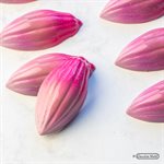 POLYCARBONATE MOLD CACAO BEAN 27.5X13.5X2.4CM