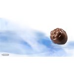 POLYCARBONATE MOLD 9 SPHERES 27.5X13.5X2.4CM