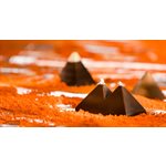 POLYCARBONATE MOLD BE PYRALINE 27.5X13.5X2.4CM