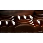 POLYCARBONATE MOLD BAR WOVEN 27.5X13.5X2.4CM