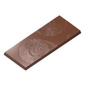 POLYCARBONATE MOLD TABLET NAUTILUS 27.5X13.5X2.4CM