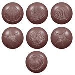 POL.MLD SEABALLS FOSSILS 7 FIG 27.5X13.5X2.5CM