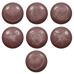 POL.MLD SEABALLS FOSSILS 7 FIG 27.5X13.5X2.5CM