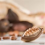 POLYCARBONATE MOLD CACAO BEAN OPEN 27.5X13.5X2.4CM