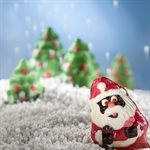 POLYCARBONATE MOLD X MAN 27.5X13.5X2.4CM