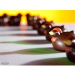 POLYCARBONATE MOLD CHICKEN 27.5X13.5X2.4CM