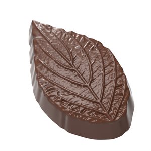 POLYCARBONATE MOLD LEAF STRUCTURE 27.5X13.5X2.4CM