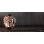 POLYCARBONATE MOLD BUDDHA HEAD 27.5X13.5X2.4CM